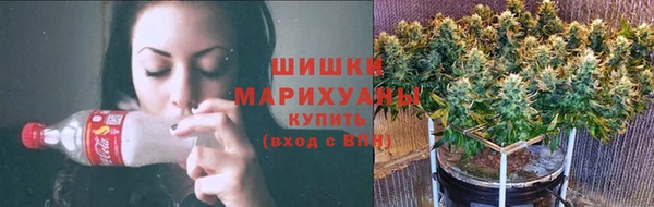 бошки Каменка