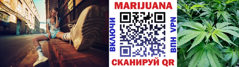 Купить где  Кириши  МАРИХУАНА конопля 